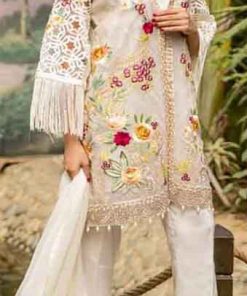 Pakistani Chiffon dresses