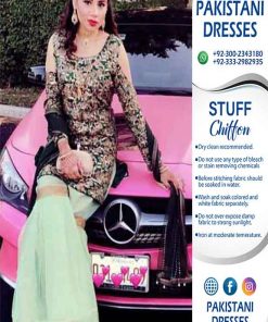 Pakistani Chiffon Dresses