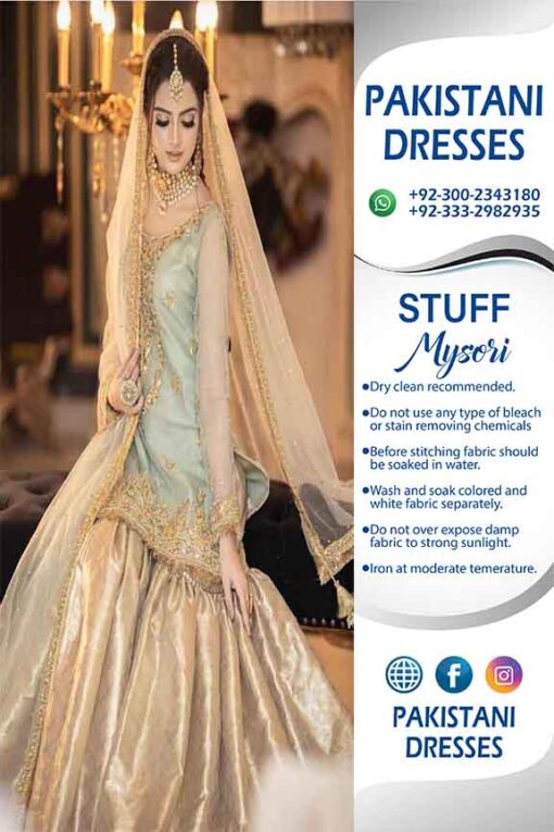 Pakistani Bridal Dresses 2022