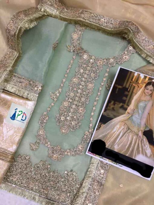 Pakistani Bridal Dresses 2022 New