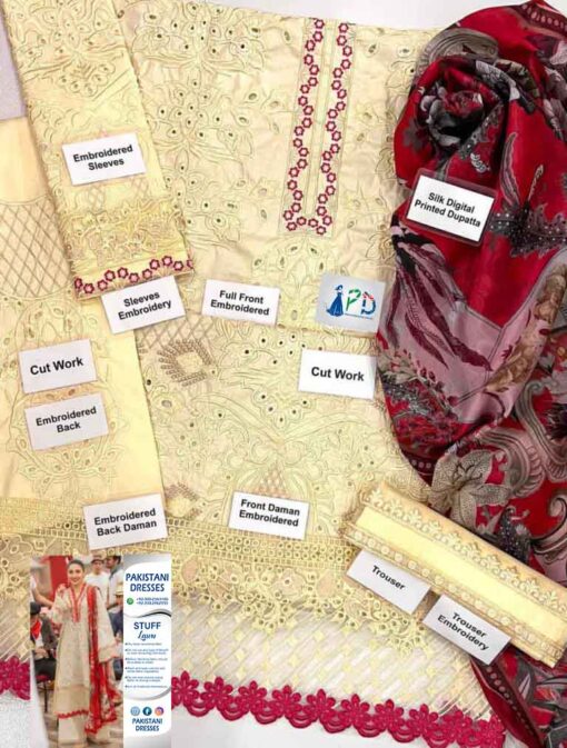 Pakistani Cutwork Dresses Online New