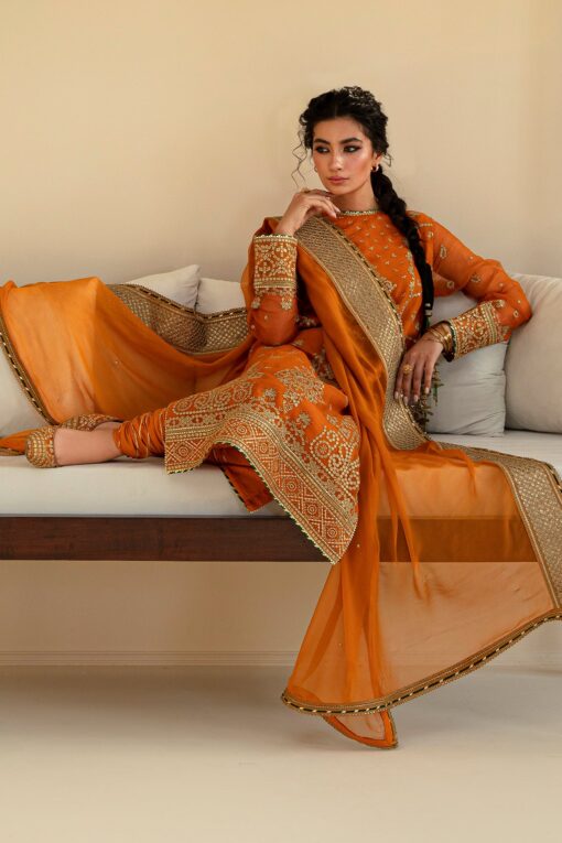 Baroque Chiffon Clothe