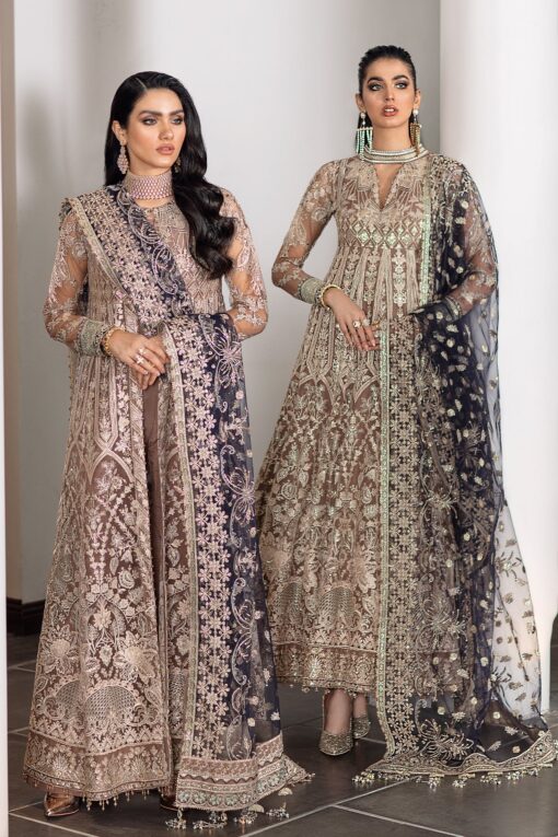 Baroque Net Frock 2025