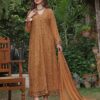 Nomi Ansari Chiffon Clothe 2025