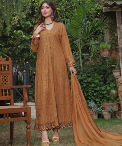 Nomi Ansari Chiffon Clothe 2025