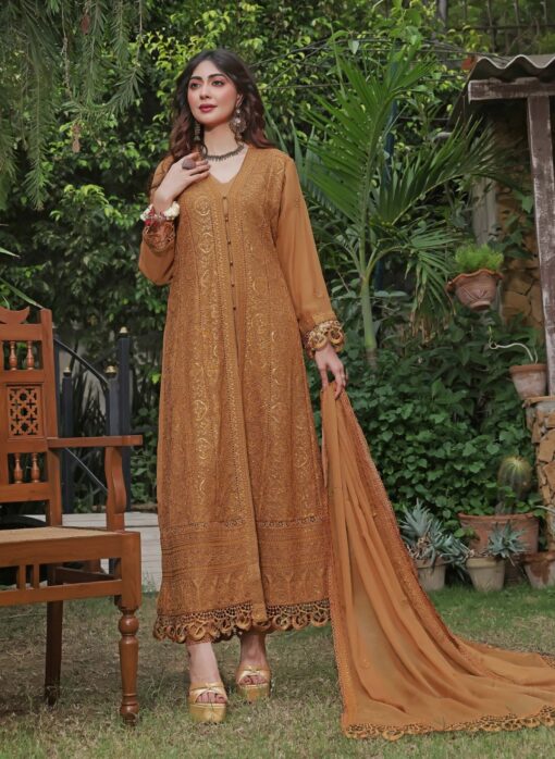 Nomi Ansari Chiffon Clothe 2025