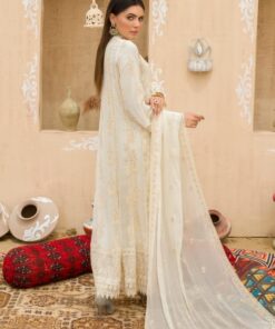 Nomi Ansari Chiffon Collection online