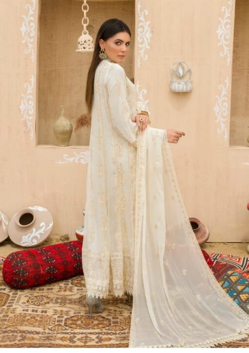 Nomi Ansari Chiffon Collection online