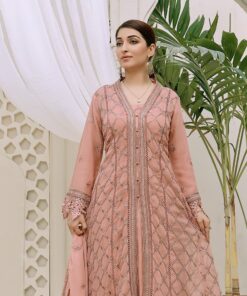 Nomi Ansari Clothe online