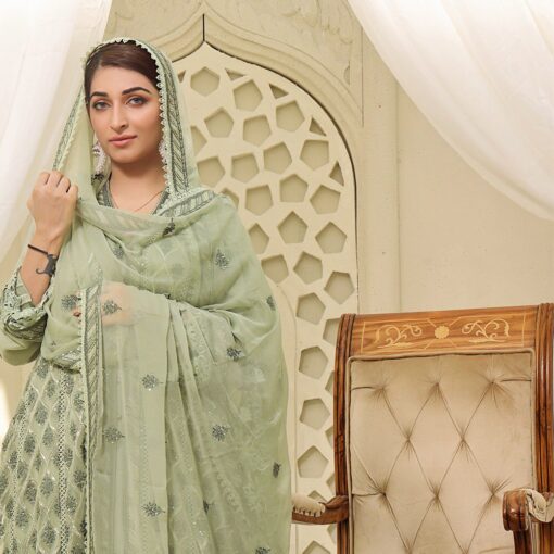 Nomi Ansari Dresses 2025